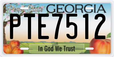 GA license plate PTE7512