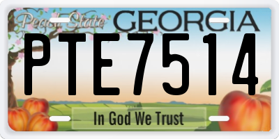 GA license plate PTE7514