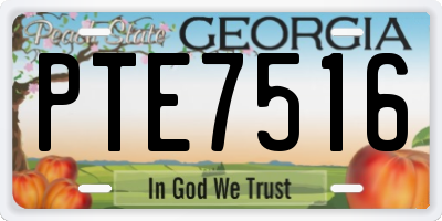 GA license plate PTE7516