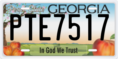 GA license plate PTE7517