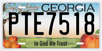 GA license plate PTE7518