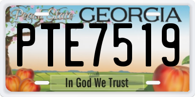 GA license plate PTE7519