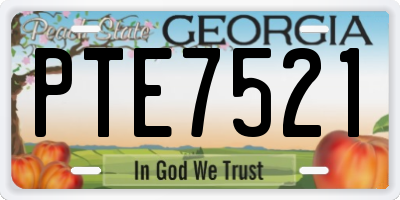 GA license plate PTE7521