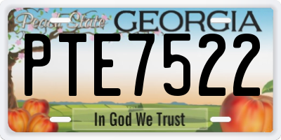 GA license plate PTE7522