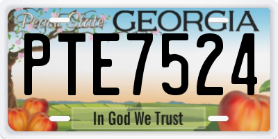 GA license plate PTE7524