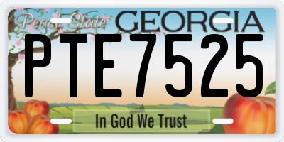 GA license plate PTE7525