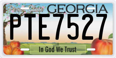 GA license plate PTE7527