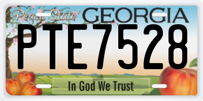 GA license plate PTE7528
