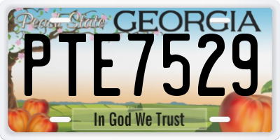 GA license plate PTE7529