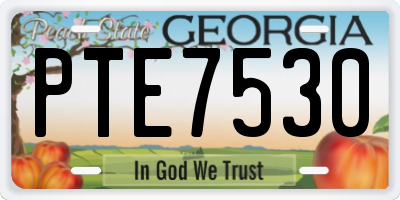 GA license plate PTE7530