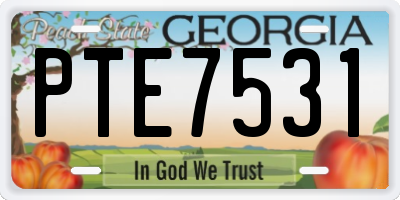 GA license plate PTE7531