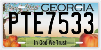 GA license plate PTE7533