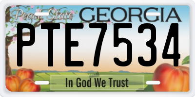 GA license plate PTE7534