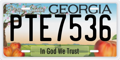 GA license plate PTE7536