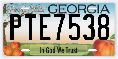 GA license plate PTE7538