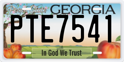 GA license plate PTE7541