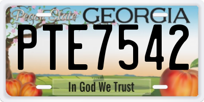 GA license plate PTE7542