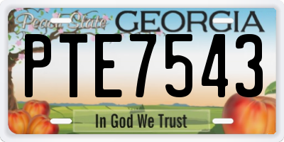 GA license plate PTE7543