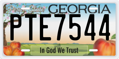 GA license plate PTE7544