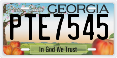 GA license plate PTE7545