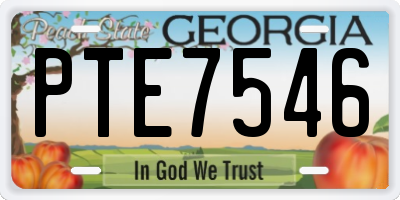 GA license plate PTE7546