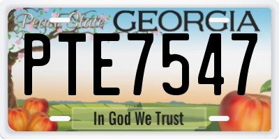 GA license plate PTE7547
