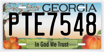 GA license plate PTE7548