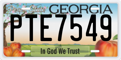 GA license plate PTE7549