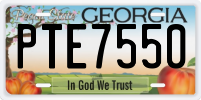 GA license plate PTE7550
