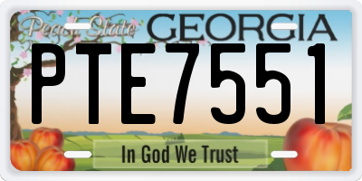 GA license plate PTE7551
