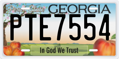 GA license plate PTE7554