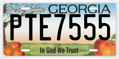 GA license plate PTE7555