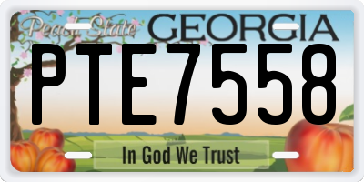 GA license plate PTE7558