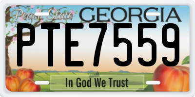 GA license plate PTE7559