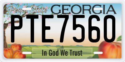 GA license plate PTE7560