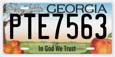 GA license plate PTE7563