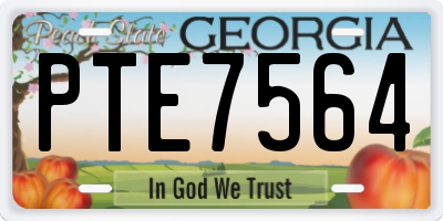 GA license plate PTE7564