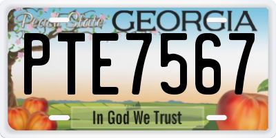GA license plate PTE7567