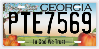 GA license plate PTE7569
