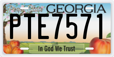 GA license plate PTE7571