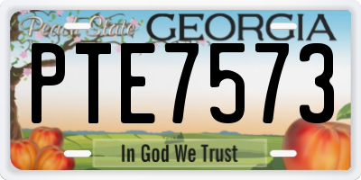 GA license plate PTE7573