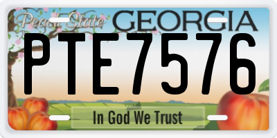 GA license plate PTE7576