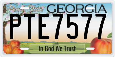 GA license plate PTE7577