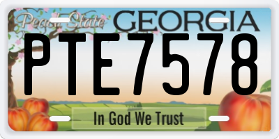 GA license plate PTE7578