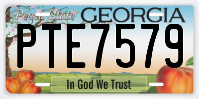 GA license plate PTE7579