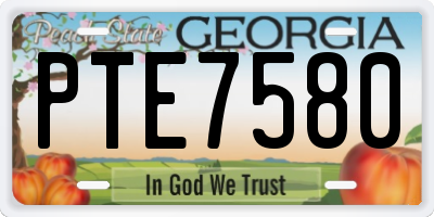 GA license plate PTE7580