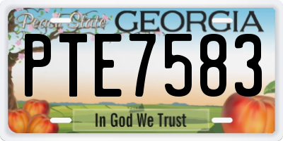 GA license plate PTE7583