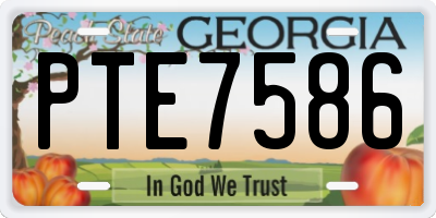 GA license plate PTE7586