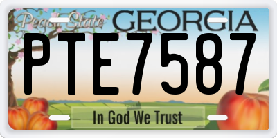 GA license plate PTE7587