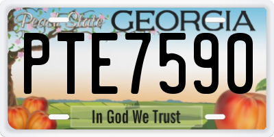 GA license plate PTE7590